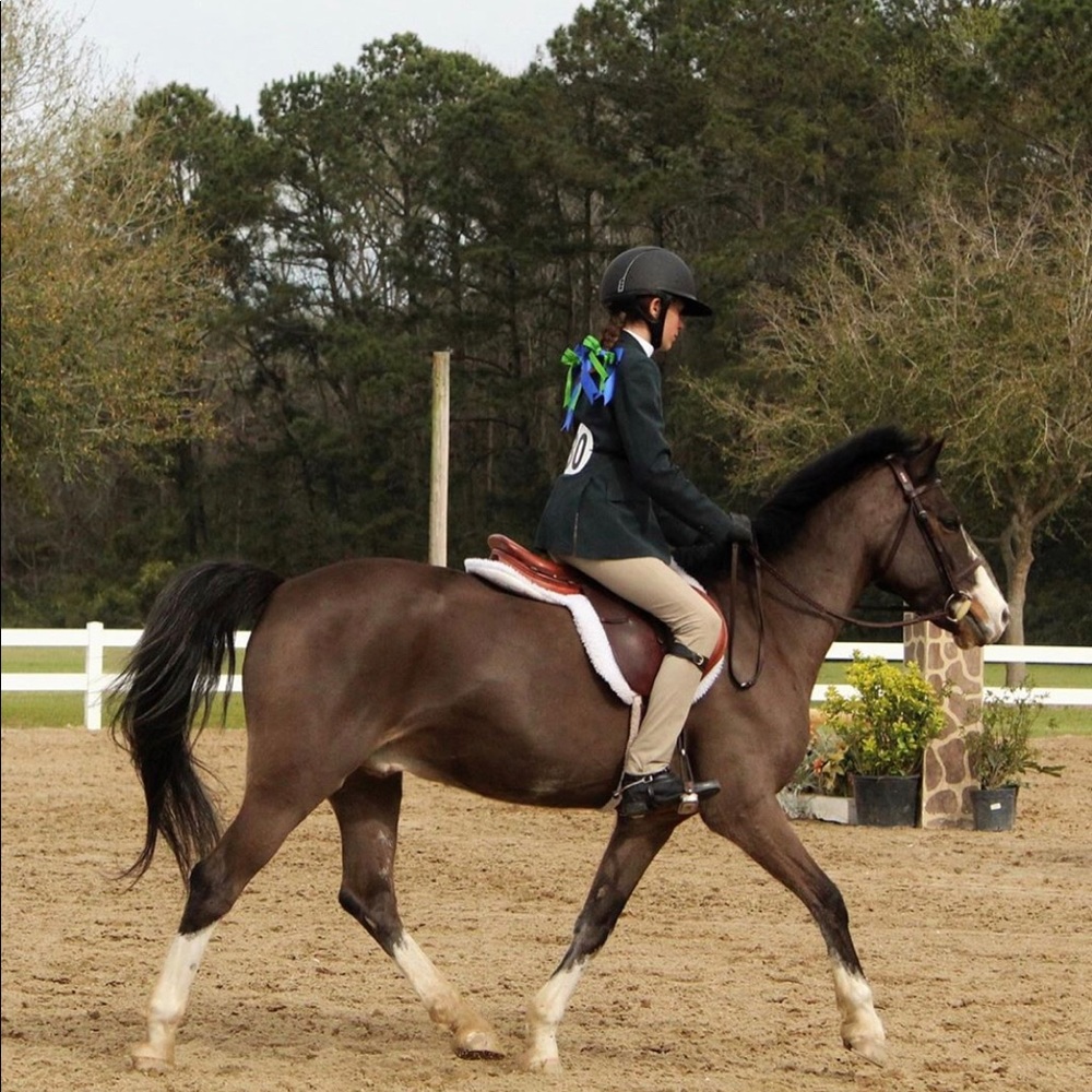 Meet your Posher, Sophia